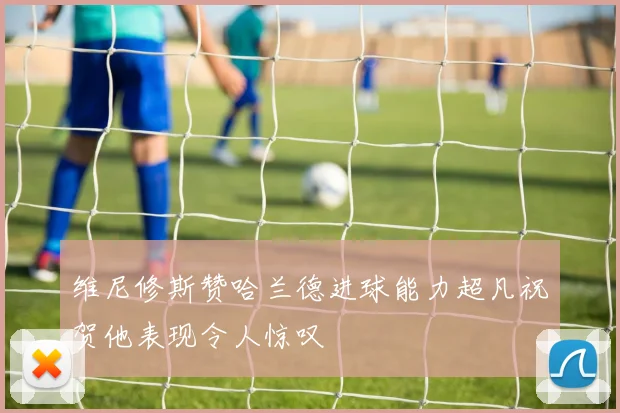 维尼修斯赞哈兰德进球能力超凡祝贺他表现令人惊叹