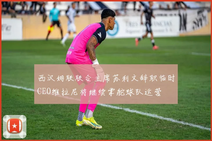 西汉姆联联合主席苏利文辞职临时CEO维拉尼将继续掌舵球队运营