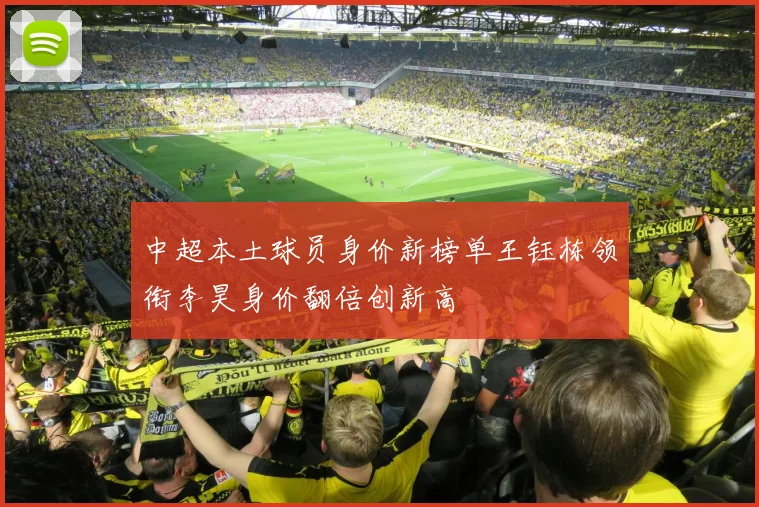 中超本土球员身价新榜单王钰栋领衔李昊身价翻倍创新高